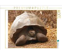 Puzzle · Tortue géante des Galápagos | 1000 pièces · Format assemblé 64 × 48 cm · CALVENDO Puzzle