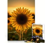 Puzzle Tournesol au Coucher du Soleil 1000 pièces pour Adolescents Amélioration de la mémoire Détente et Amusement Pièce de Collection aux découpes nettes 38x52cm
