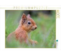 Puzzle · Tout près | 1000 pièces · Format assemblé 64 × 48 cm · CALVENDO Puzzle