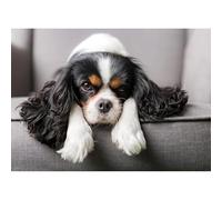 Puzzle Toy Animal Ensemble de 500 pièces (52x38cm) Knight Charlie Dog Puppy Puzzle, Décoration Murale de Jeu Familial