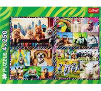 Puzzle TREFL 4x250 Animaux rigolos 13313
