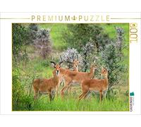 Puzzle · Troupeau de kobs de l'Ouganda dans Le Parc National des Chutes | Murchison · 1000 pièces · Format assemblé 64 × 48 cm · CALVENDO Puzzle