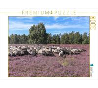 Puzzle · Troupeau de Moutons Heidschnucken dans Le Parc Naturel de Höpen | près de Schneverdingen · Parc naturel de Höpen, près de… · 2000 pièces · Format assemblé 90 × 67 cm · CALVENDO Puzzle
