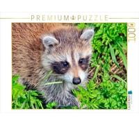 Puzzle · Un Adorable Omnivore : Le Raton Laveur | 1000 pièces · Format assemblé 64 × 48 cm · CALVENDO Puzzle