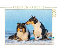 Puzzle · Un Beau Couple - Poil Long et Poil Court | 2000 pièces · Format assemblé 90 × 67 cm · CALVENDO Puzzle