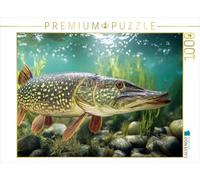 Puzzle · Un brochet majestueux Qui Glisse dans l'eau Claire