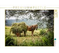 CALVENDO Puzzle Cheval avec Une charrette Pleine de Foin 1000 Pieces 64 x 48 cm from dotmatchbox