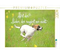 Puzzle · Un Chiot Jack Russell Terrier Court dans Un pré | Il entend · Bien sûr, mais il ne réagit pas · 2000 pièces · Format assemblé 90 × 67 cm · CALVENDO Puzzle