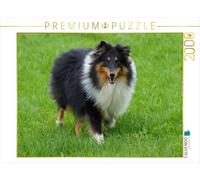 Puzzle · Un Colley à Poil Long dans Un pré | Chiens et animaux de compagnie · 2000 pièces · Format assemblé 90 × 67 cm · CALVENDO Puzzle