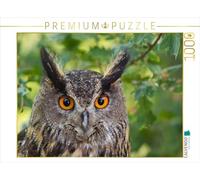Puzzle · Un Hibou Grand-duc dans Son Milieu Naturel | Je te vois · 1000 pièces · Format assemblé 64 × 48 cm · CALVENDO Puzzle