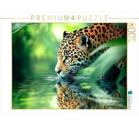 Puzzle · Un Jaguar majestueux | La fascination de la forêt tropicale · 1000 pièces · Format assemblé 64 × 48 cm · CALVENDO Puzzle