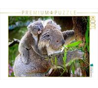 Puzzle · Un Koala avec Son Petit | La faune australienne · 1000 pièces · Format assemblé 64 × 48 cm · CALVENDO Puzzle