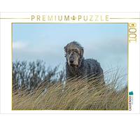 Puzzle · Un lévrier Irlandais Observe Depuis Une Dune dans Un Paysage de | landes · Imposant et majestueux, le mâle domine la scène · 1000 pièces · Format assemblé 64 × 48 cm · CALVENDO Puzzle