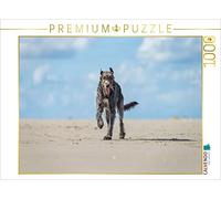 Puzzle · Un lévrier Irlandais s'amuse à la Plage | C'est ça, la joie de vivre · 1000 pièces · Format assemblé 64 × 48 cm · CALVENDO Puzzle