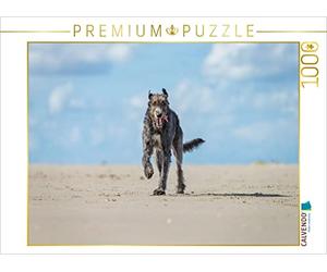 Puzzle · Un lévrier Irlandais s'amuse à la Plage | C'est ça, la joie de vivre · 1000 pièces · Format assemblé 64 × 48 cm · CALVENDO Puzzle