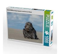 Puzzle · Un lévrier Irlandais se prélasse au Soleil sur la Plage | C'est tellement agréable à la plage · 1000 pièces · Format assemblé 64 × 48 cm · CALVENDO Puzzle