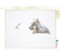 Puzzle · Un Loup r uvert de Neige est couché dans la Neige | 1000 pièces · Format assemblé 64 × 48 cm · CALVENDO Puzzle