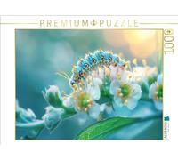 Puzzle · Un Monde rempli de Petits Animaux adorables | Une magnifique chenille · 1000 pièces · Format assemblé 64 × 48 cm · CALVENDO Puzzle