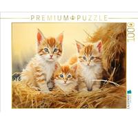 Puzzle · Un Motif du Calendrier 365 Jours à la Campagne