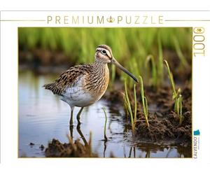 Puzzle · Un Motif du Calendrier Bio e Entre Terre et mer | Bécassine des marais · Cet échassier niche également dans les… · 1000 pièces · Format assemblé 64 × 48 cm · CALVENDO Puzzle