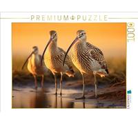 CALVENDO Puzzle Un Motif du Calendrier Biotope Entre Terre et mer | 1000 pièces de Ponte Taille 64 x 48 cm Puzzle Photo pour des Heures heureuses