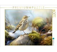 CALVENDO Puzzle Un Motif du Calendrier Biotope Entre Terre et mer | 1000 pièces de Ponte Taille 64 x 48 cm Puzzle Photo pour des Heures heureuses