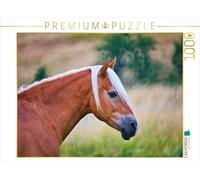 Puzzle · Un Motif du Calendrier Chevaux en Famille | Haflinger en train de chiller · 1000 pièces · Format assemblé 64 × 48 cm · CALVENDO Puzzle