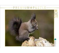 Puzzle · Un Motif du Calendrier Oachkatzl | Mignon petit é uil ou Oachkatzl en bavarois · 1000 pièces · Format assemblé 64 × 48 cm · CALVENDO Puzzle