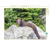 Puzzle · Un Ours Devant la forêt Verte | 2000 pièces · Format assemblé 90 × 67 cm · CALVENDO Puzzle