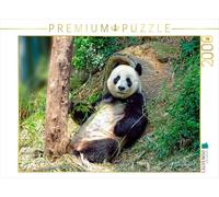 Puzzle · Un Panda Tout Mignon | 2000 pièces · Format assemblé 90 × 67 cm · CALVENDO Puzzle