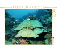 Puzzle · Un Paysage sous-Marin Impressionnant dans Le Paradis insulaire de | Palau · Les coraux durs sont les bâtisseurs des récifs · 2000 pièces · Format assemblé 90 × 67 cm · CALVENDO Puzzle