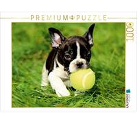 Puzzle · Un Petit Chiot Bouledogue français en Train de Jouer | chiots · 1000 pièces · Format assemblé 64 × 48 cm · CALVENDO Puzzle