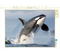 Puzzle · Un Saut Puissant Hors de l'eau | 1000 pièces · Format assemblé 64 × 48 cm · CALVENDO Puzzle