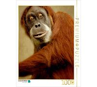 Puzzle · Un Singe Curieux | Orang-outan · 1000 pièces · Format assemblé 64 × 48 cm · CALVENDO Puzzle