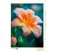 Puzzle · Un Sourire dans Le Soleil du Matin | 1000 pièces · Format assemblé 64 × 48 cm · CALVENDO Puzzle