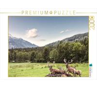 Puzzle · Un Troupeau de Cerfs paît dans Le Magnifique Cadre Naturel des | montagnes de Hinterstoder · 2000 pièces · Format assemblé 90 × 67 cm · CALVENDO Puzzle