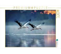 Puzzle · Un vol majestueux au-Dessus du lac | Les cigognes en Allemagne · 1000 pièces · Format assemblé 64 × 48 cm · CALVENDO Puzzle