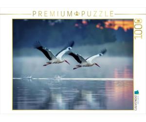 Puzzle · Un vol majestueux au-Dessus du lac | Les cigognes en Allemagne · 1000 pièces · Format assemblé 64 × 48 cm · CALVENDO Puzzle