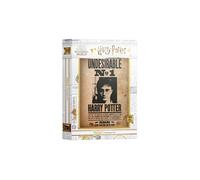 SD Toys - Puzzle Undesirable Harry Potter - 1000 pièces - G