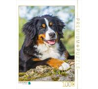 Puzzle · Une Adorable Jeune Chienne | 1000 pièces · Format assemblé 64 × 48 cm · CALVENDO Puzzle