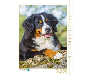 Puzzle · Une Adorable Jeune Chienne | 1000 pièces · Format assemblé 64 × 48 cm · CALVENDO Puzzle
