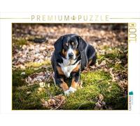 Puzzle · Une Ambiance automnale avec Le Chien de Montagne d'Entelbuch | En pleine nature · 1000 pièces · Format assemblé 64 × 48 cm · CALVENDO Puzzle