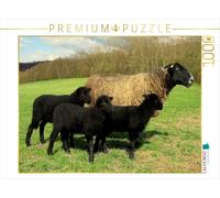 Puzzle · Une bre vec trois agneaux noirs | 1000 pièces · Format assemblé 64 × 48 cm · CALVENDO Puzzle