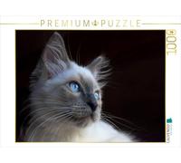Puzzle · Une Illustration tirée du Calendrier « Anges à Quatre Pattes | Ragdolls 2017 · 1000 pièces · Format assemblé 64 × 48 cm · CALVENDO Puzzle