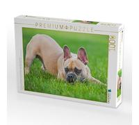 Puzzle · Une Illustration tirée du Calendrier « Bouledogues français | De petits héros à quatre pattes · 1000 pièces · Format assemblé 64 × 48 cm · CALVENDO Puzzle