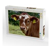 Puzzle · Une Illustration tirée du Calendrier « Bovins dans Les prairies de | l'Eifel · Photo : Jean-Louis Glineur · 1000 pièces · Format assemblé 64 × 48 cm · CALVENDO Puzzle