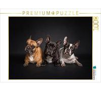 Puzzle · Une Illustration tirée du Calendrier Bullymania | Bouledogues français · Bully, bouledogue français · Lina, Manfr… · 1000 pièces · Format assemblé 64 × 48 cm · CALVENDO Puzzle