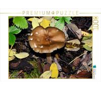 Puzzle · Une Illustration tirée du Calendrier « Champignons, Champignons | 1000 pièces · Format assemblé 64 × 48 cm · CALVENDO Puzzle