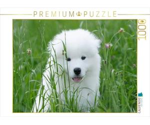 Puzzle · Une Illustration tirée du Calendrier « Chiots samoyèdes | 1000 pièces · Format assemblé 64 × 48 cm · CALVENDO Puzzle