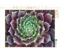 Puzzle · Une Illustration tirée du Calendrier « Galerie des Plantes | succulentes · héliotrope · 1000 pièces · Format assemblé 64 × 48 cm · CALVENDO Puzzle